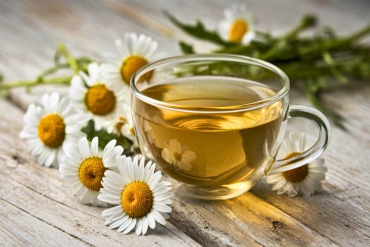 Infusion de camomille